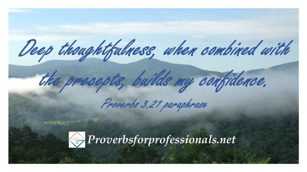 deep-thoughtfulness-is-a-source-of-confidence-proverbs-for-professionals